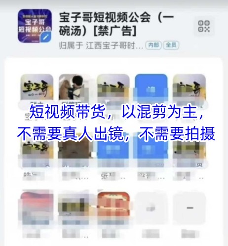 宝子哥头部团队短视频带货,以混剪为主,不需要真人出镜,不需要拍摄【更新11月】-灵感工坊云网创
